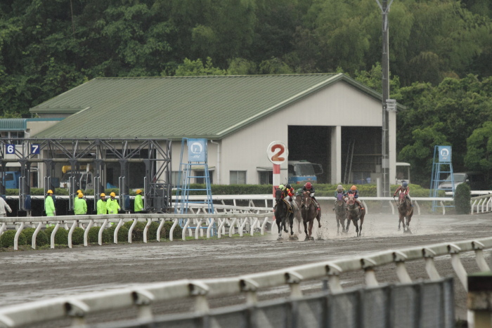 2011年5月28日（土） 高知競馬 2R C3-5_a0077663_5271495.jpg