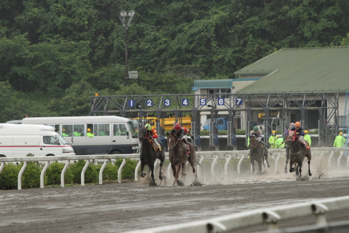 2011年5月28日（土） 高知競馬 2R C3-5_a0077663_5272293.jpg