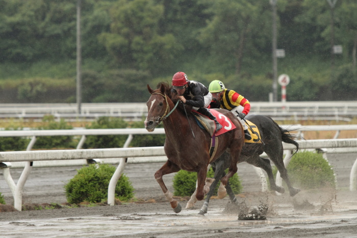 2011年5月28日（土） 高知競馬 2R C3-5_a0077663_527295.jpg