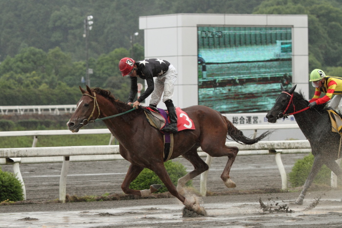 2011年5月28日(土) 高知競馬 2R C3-5_a0077663_5273767.jpg
