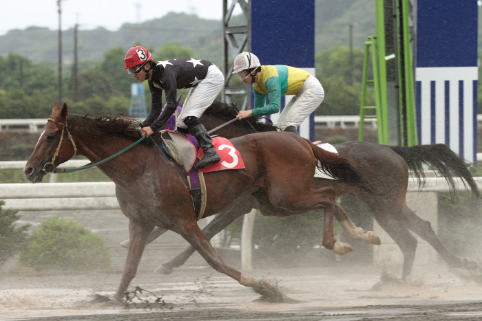 2011年5月28日（土） 高知競馬 2R C3-5_a0077663_527579.jpg