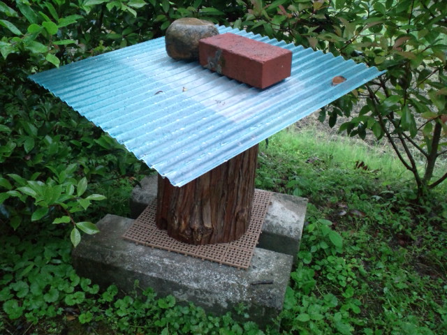 e0187064_19534499.jpg