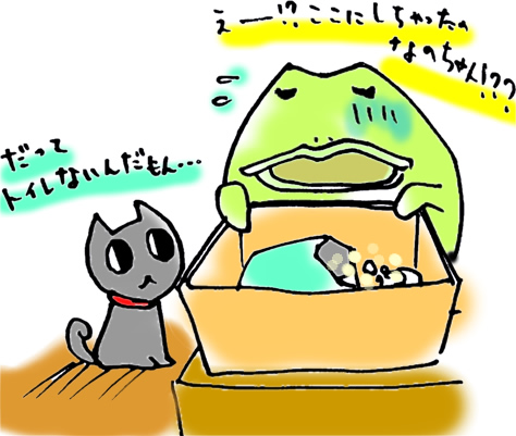 本日のなのちゃん_b0172370_1712348.jpg