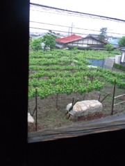 c0192970_18533979.jpg