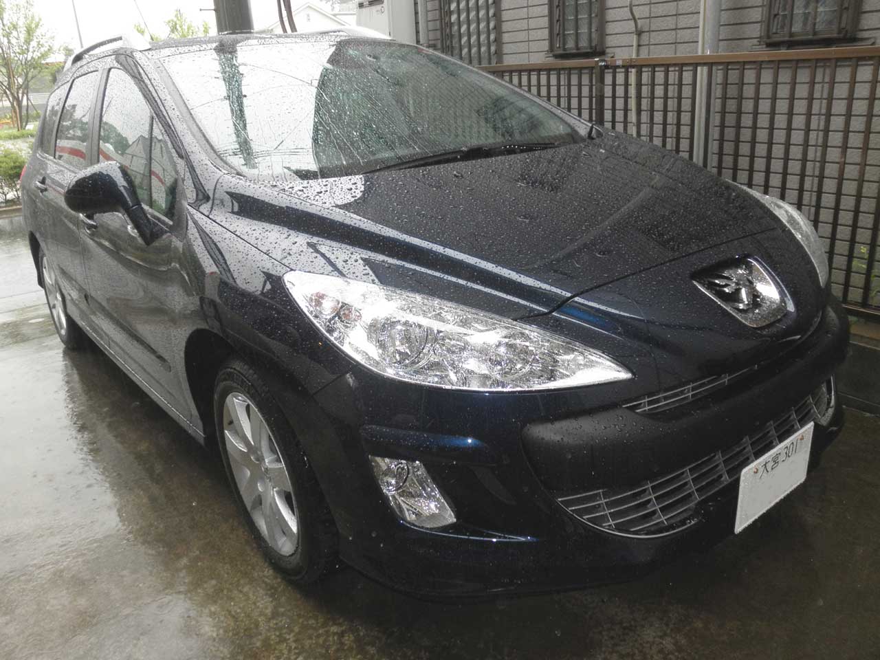 プジョー君_d0059077_19330.jpg