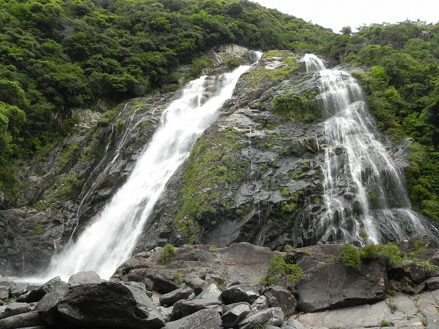b0047184_221732100.jpg
