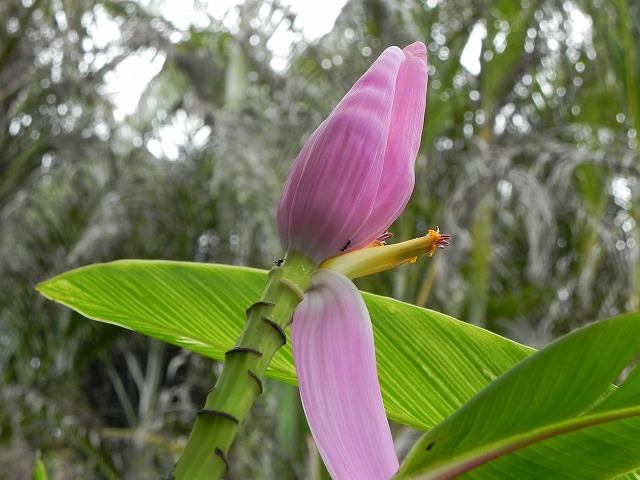 b0047184_221826100.jpg