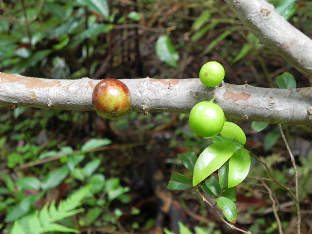 b0047184_22183817.jpg