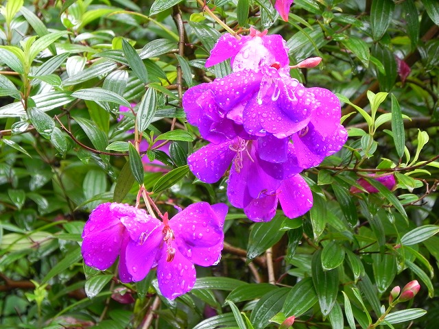 b0047184_22185853.jpg