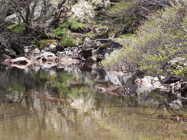 b0047184_22405462.jpg