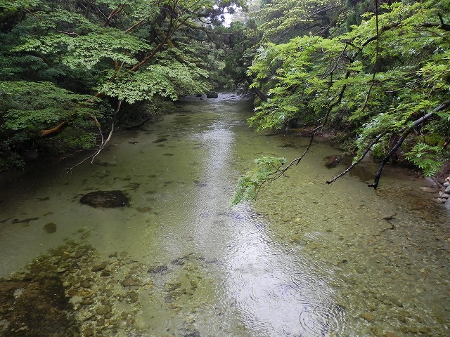 b0047184_2292793.jpg