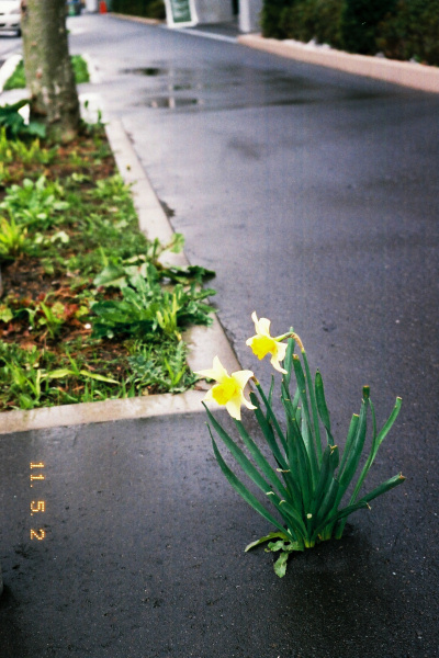 e0051186_2210126.jpg