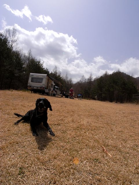 a0093592_0555042.jpg
