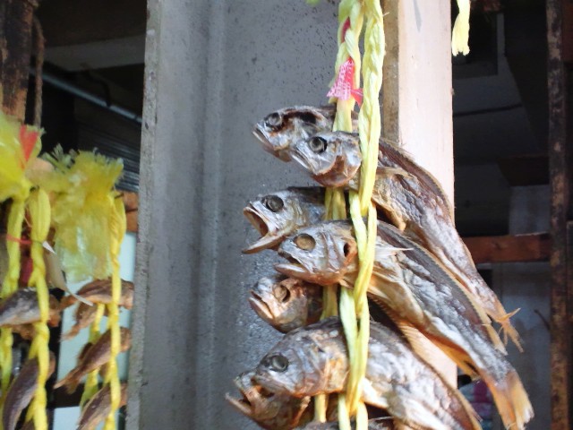 b0228495_20142614.jpg