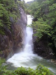 b0059000_15421248.jpg