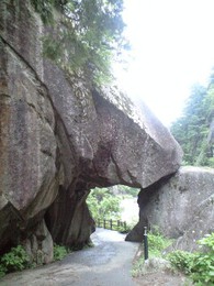 b0059000_15422367.jpg