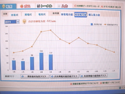 太陽光発電がおかしい？？_e0105703_18193737.jpg