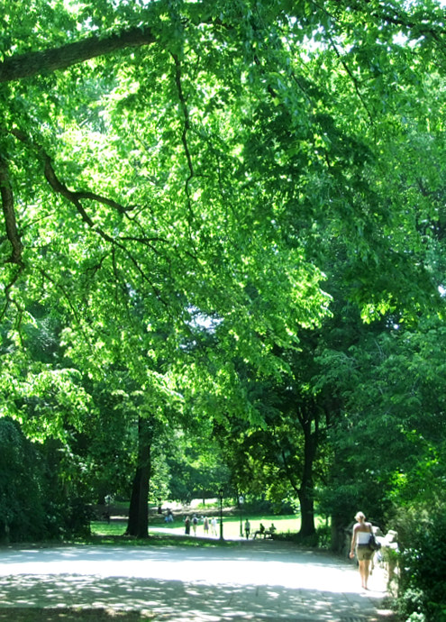 初夏のセントラルパークの緑のグラデュエーション_b0007805_0302549.jpg