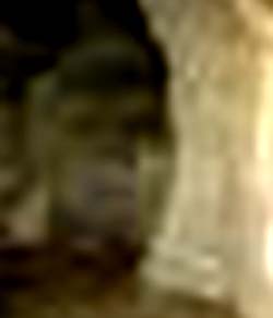 e0103408_19391632.jpg