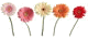 c0175715_18303585.gif