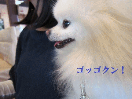 b0167519_9155895.gif