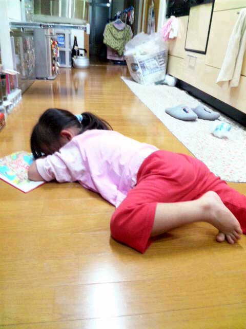 面白写メ はまぼうの里 面白写メ はまぼうの里