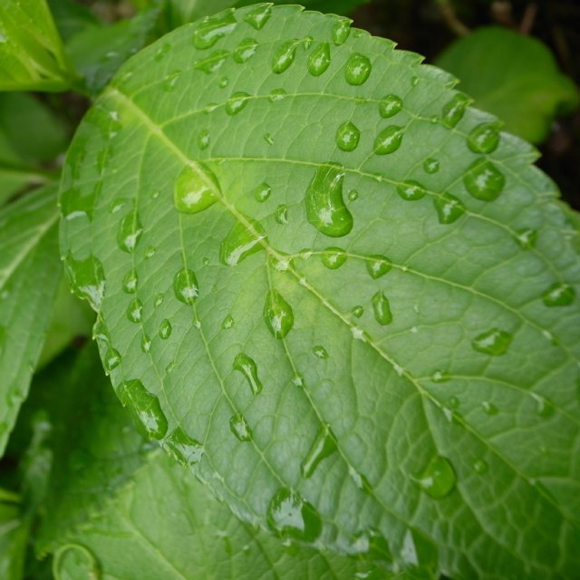 f0209122_1215017.jpg