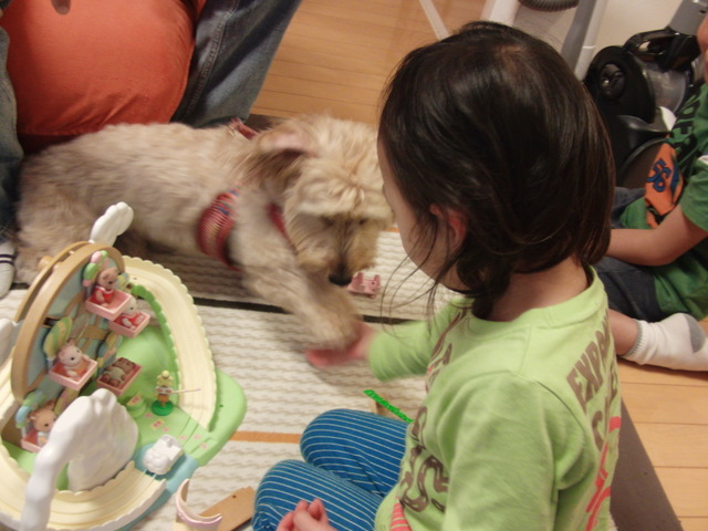 b0047423_8172571.jpg