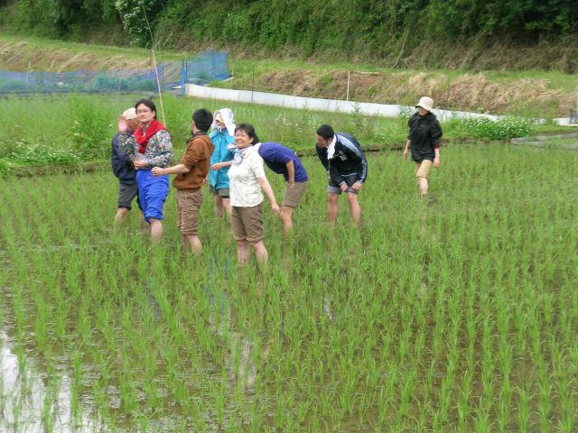 援農お願い＆種まき祭りだ＝_f0018424_16232930.jpg