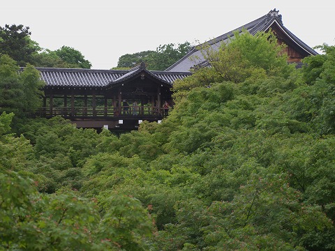 東福寺_c0077531_23534823.jpg