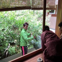 京都要庵歳時記「雨が降る前に・・・・梅雨前の庭の木の剪定」（１）_d0033734_8551982.jpg