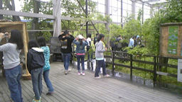 f0161535_2134256.jpg