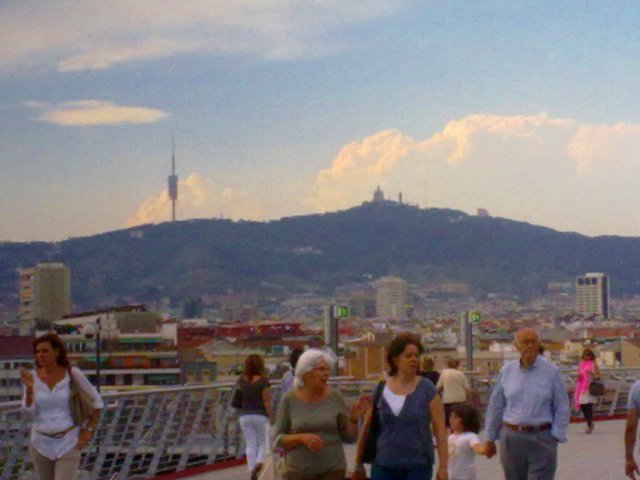 e0145739_651926.jpg