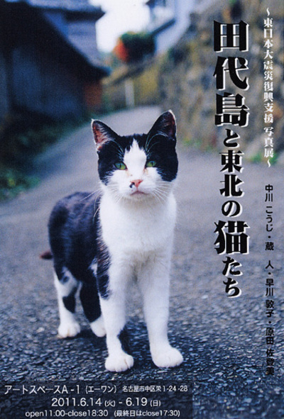 〜東日本大震災復興支援写真展〜『田代島と東北の猫たち』_c0194541_12561165.jpg