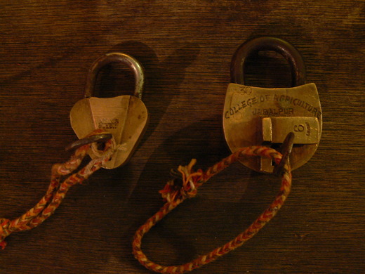 d0163941_1111276.jpg