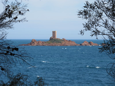 d0167041_14627.jpg