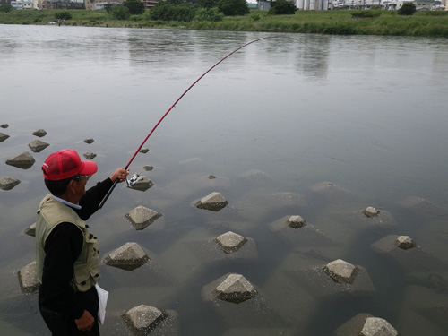 多摩川日記 「アユの解禁 2011」_f0196649_2249187.jpg