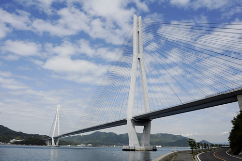 a0166150_7431759.jpg