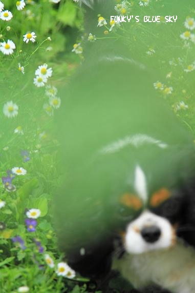 c0145250_2112318.jpg