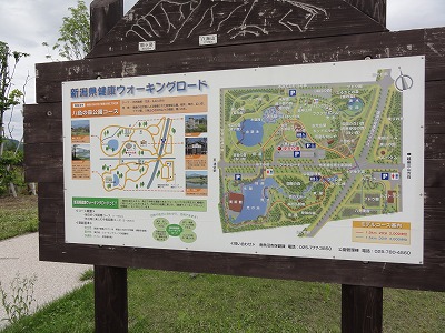 八色の森公園の雨上がり_a0084753_1156126.jpg