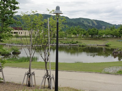 八色の森公園の雨上がり_a0084753_11561935.jpg
