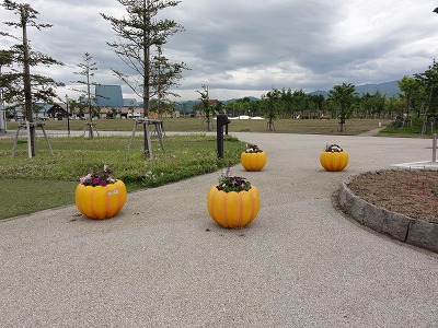 八色の森公園の雨上がり_a0084753_11562863.jpg
