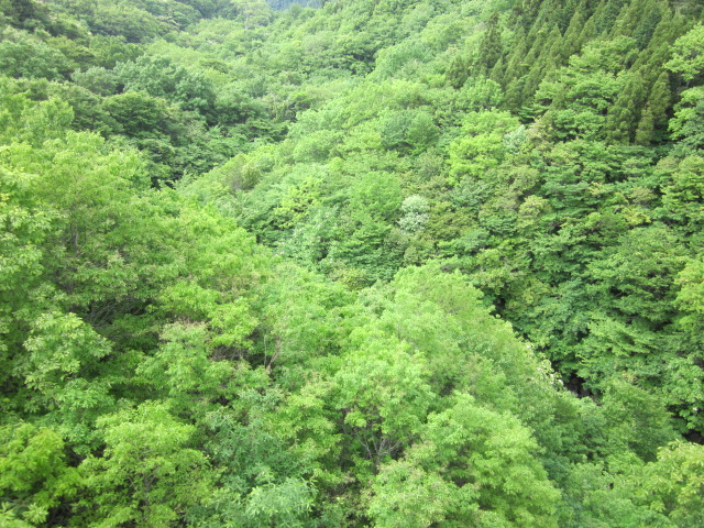 e0176053_182795.jpg