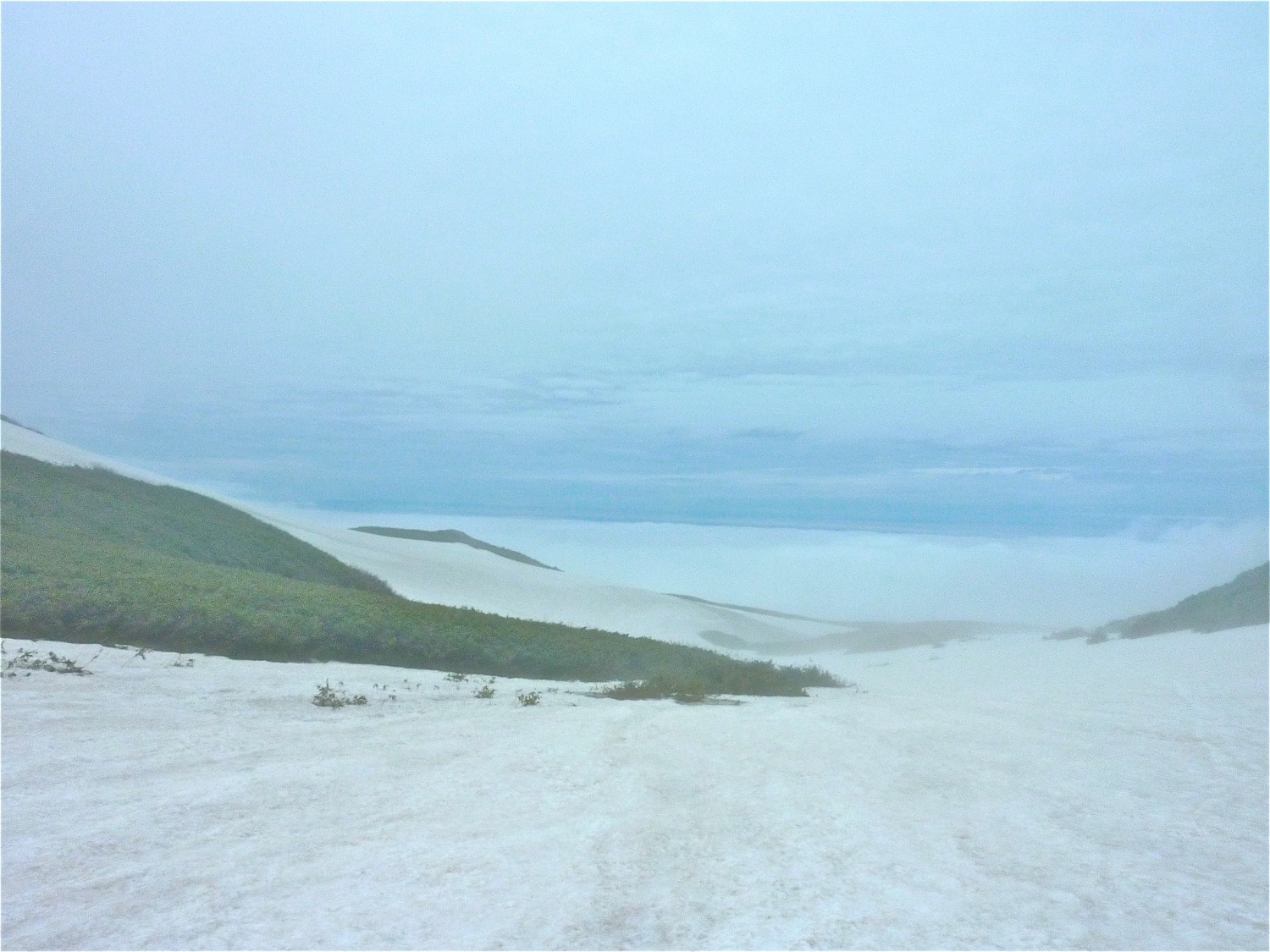 f0013553_04092.jpg