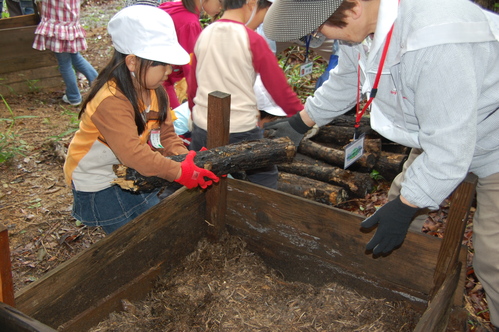 c0108460_2140540.jpg