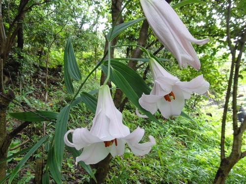 c0108460_22241682.jpg