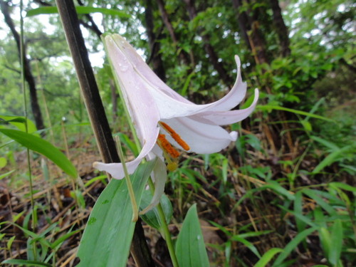 c0108460_22415497.jpg