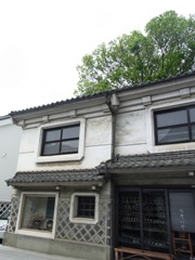 c0192970_812627.jpg