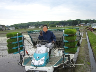 田植え!_f0210571_1654961.jpg