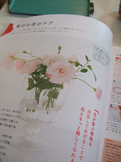 オークリーフ(新・フラワーアレンジ 基礎レッスン)_f0049672_1140295.jpg